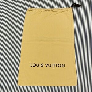 Louis Vuitton shoe bag
